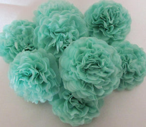 Cool Mint Button Mums Tissue Paper Flowers - Bickiboo Designs