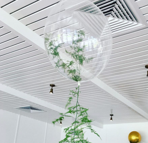Ferns inside balloons - Bickiboo Designs