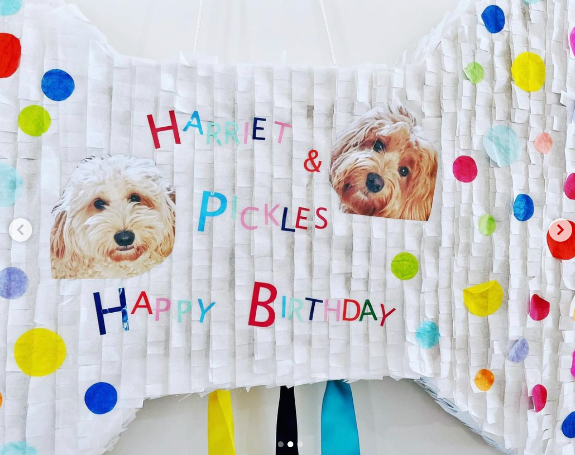 Dog Bone piñata for Dog Birthday