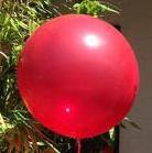Giant 90cm Balloon - Jewel Magenta - Bickiboo Designs